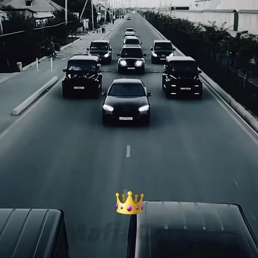 조직원들