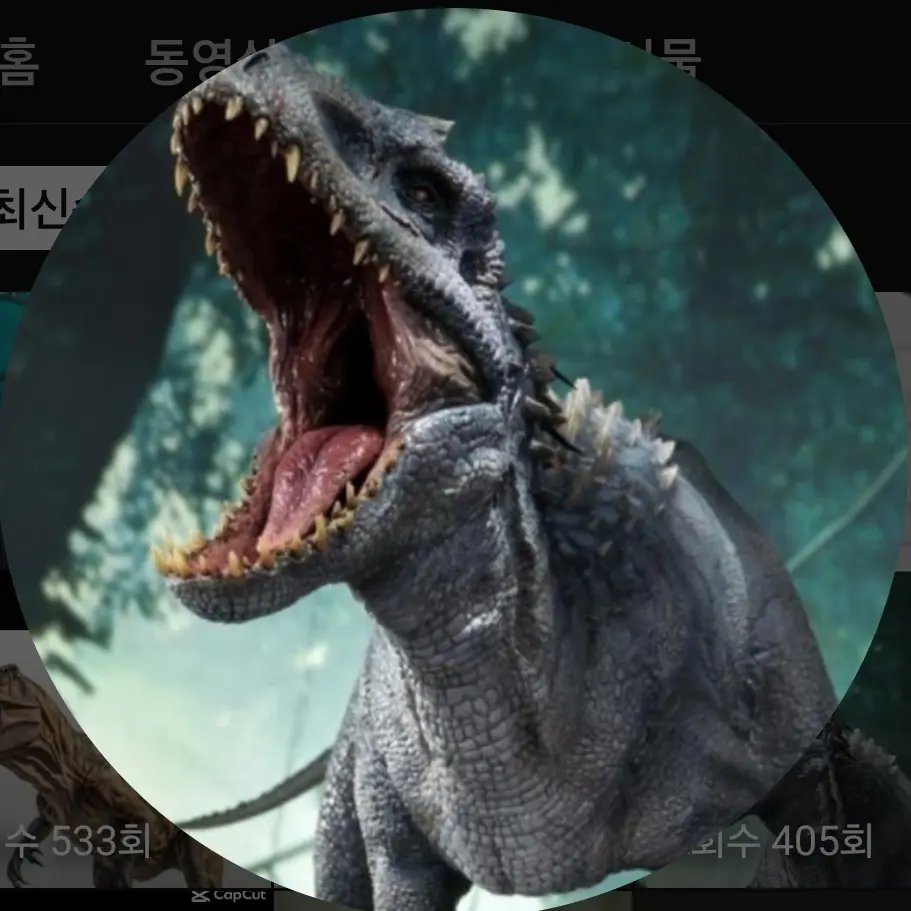 Nanook의 로하드