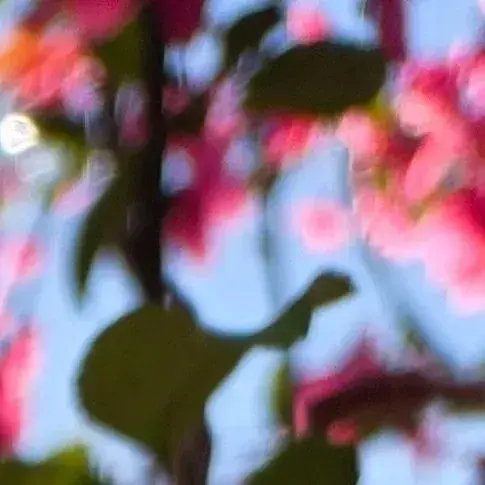 TimidAlbum6288의 TF 141 and the Little