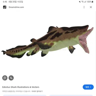 Profile image of 에데스투스