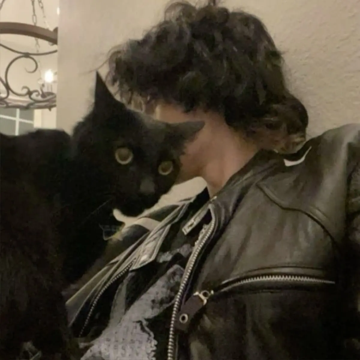 fan_of_all_lot의 Nico Di Angelo