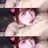 강민주