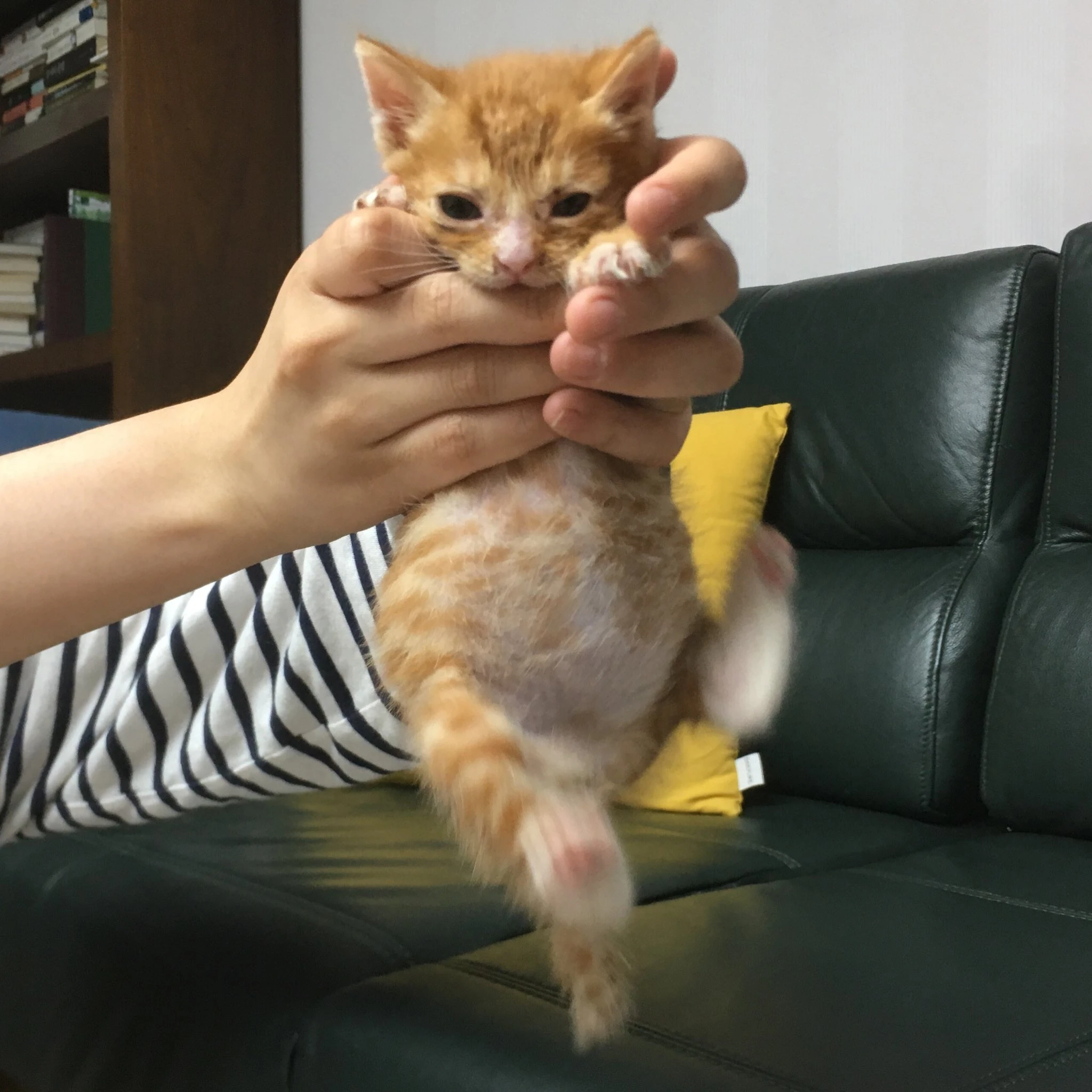 김규빈
