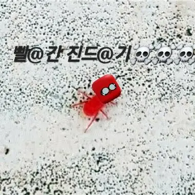 Profile image of 여우