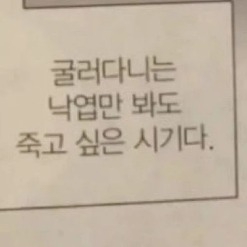 문선모