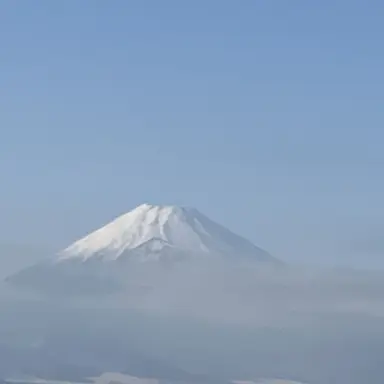 Profile image of ブリ子