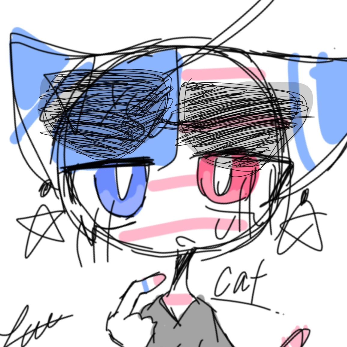 猫アメリカ
