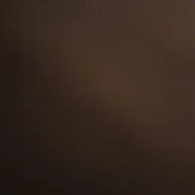 Profile image of 잼민이