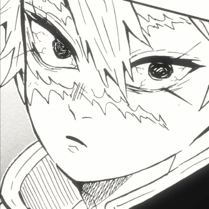 시나즈가와 사네미