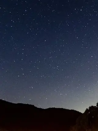 Shimaenaga_daisukiotoko의 洗脳されしピクシーズ