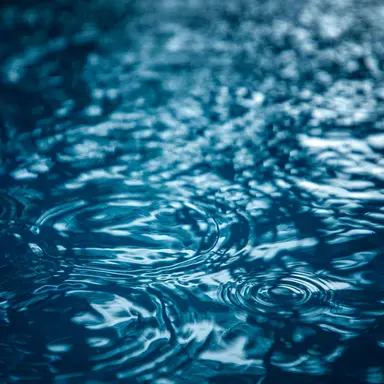 Profile image of 한선아