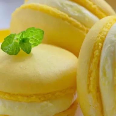 Profile image of 이와모토 히카루