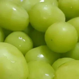Profile image of 아베 료헤이