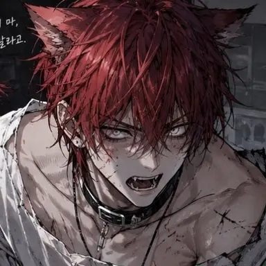 Profile image of 강이채