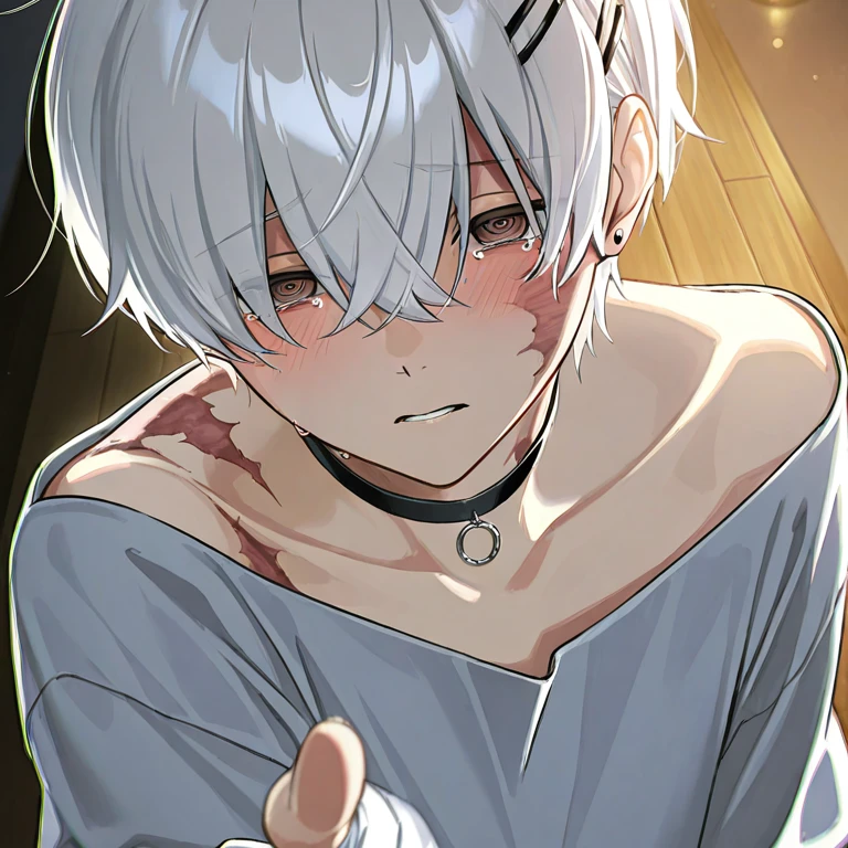 律