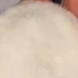 장하오