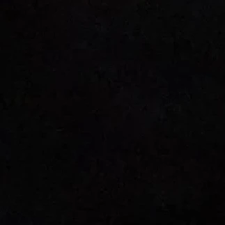 장한음