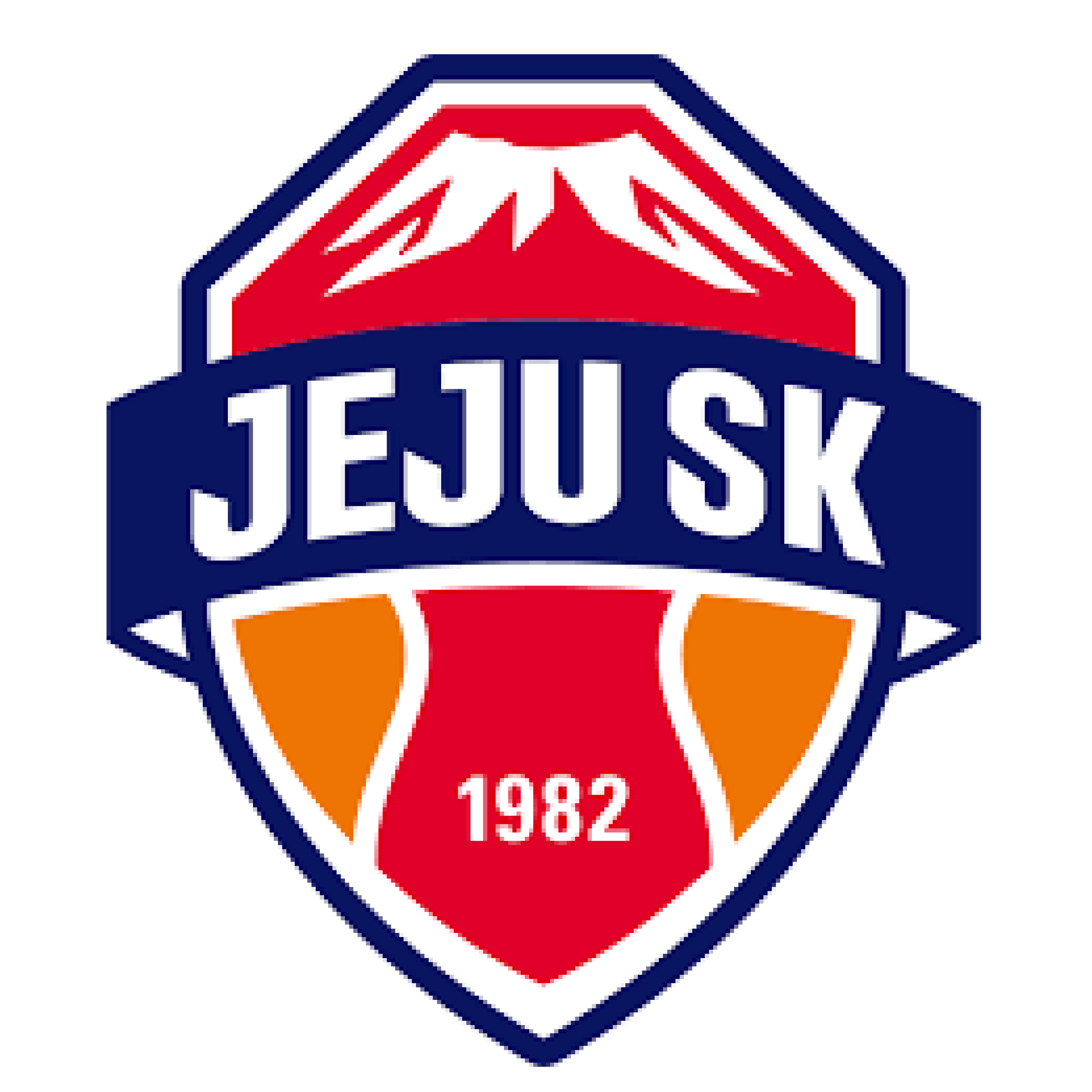 제주 SK FC 대표 이미지