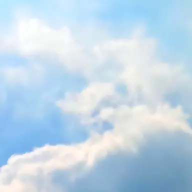 Profile image of 하늘이