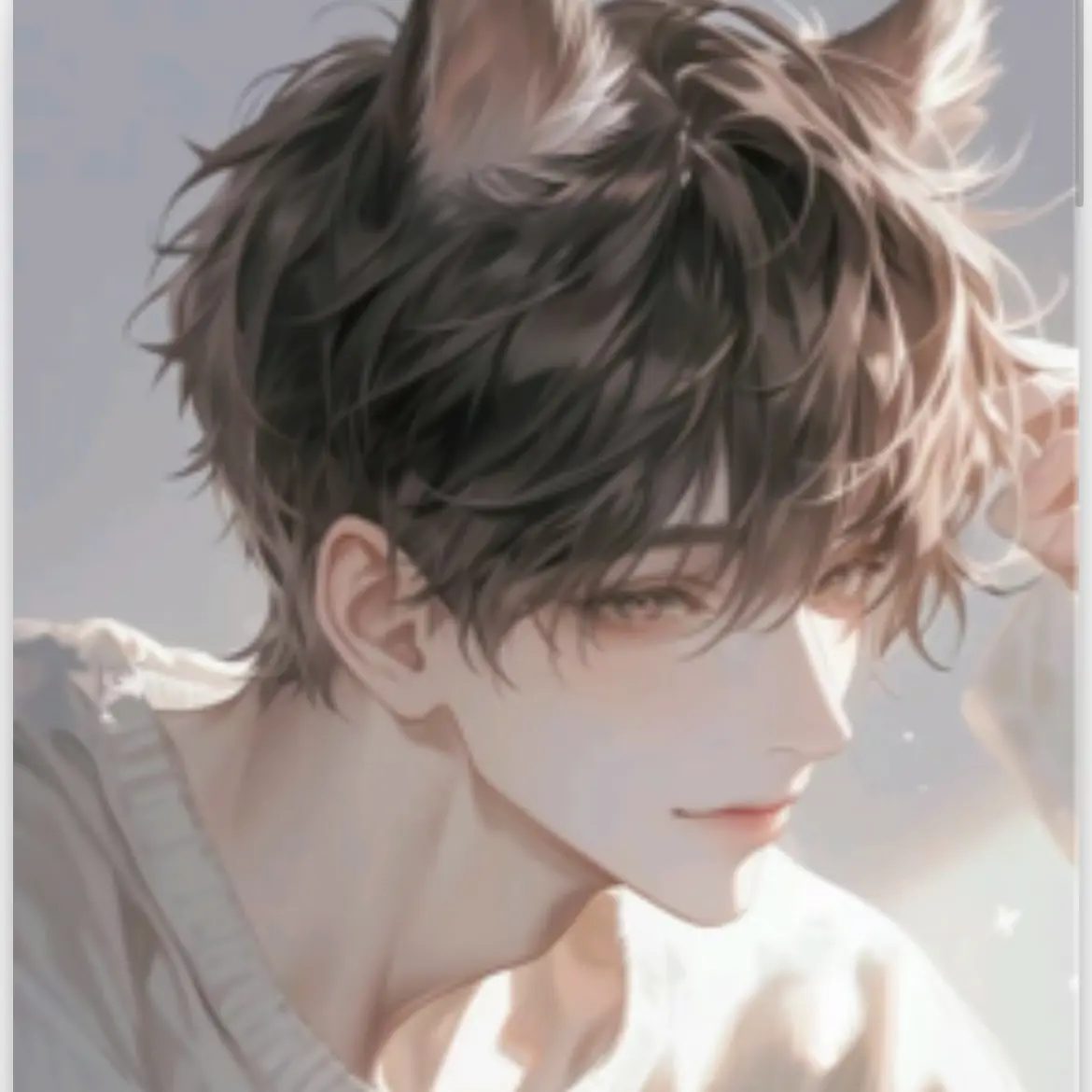 txt_lover_0304의 두부(고양이)