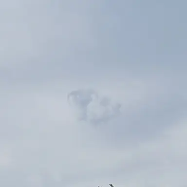 Profile image of 박은솔
