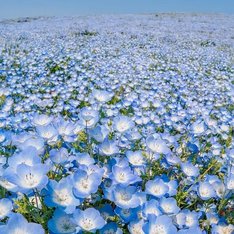 1226potito의 塩﨑大智とぶりっ子