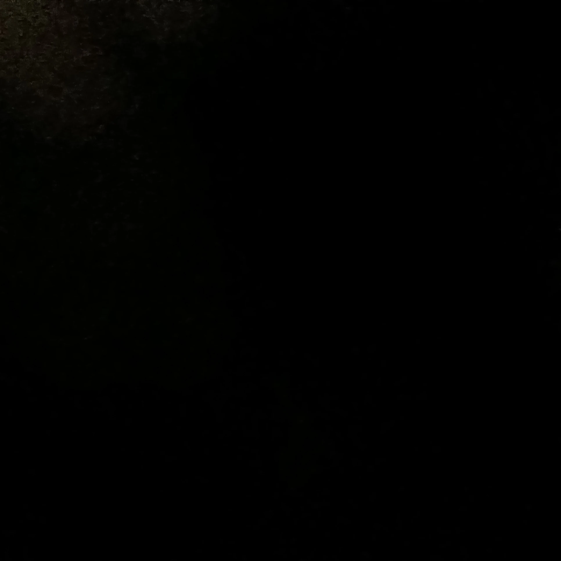 장규리