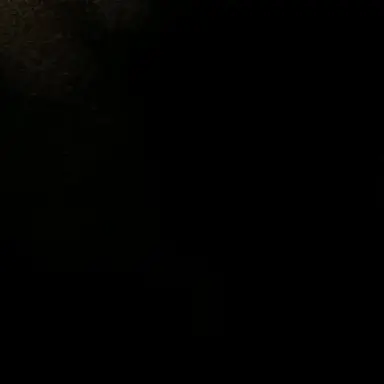 Profile image of 이서연