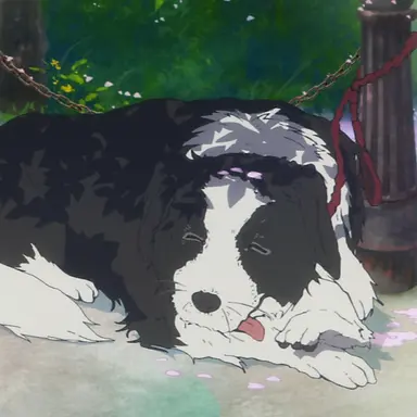 Profile image of 챠피