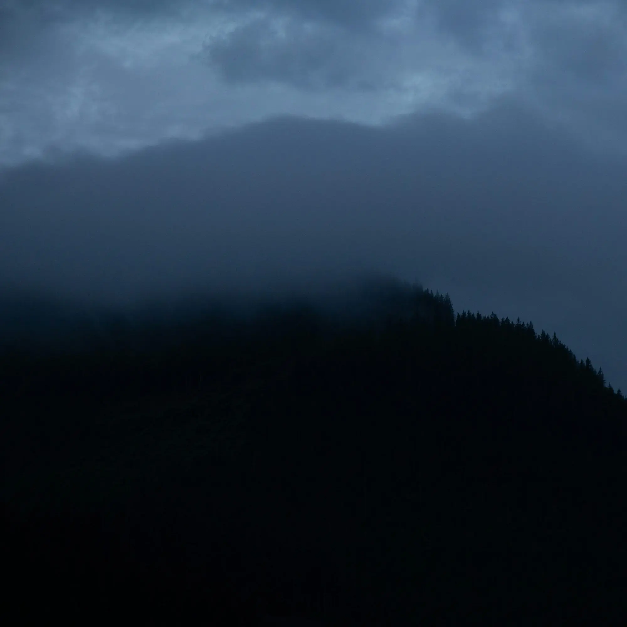 MartyrBrisk3580의 踏んだり蹴ったり殴ったり