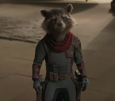 Profile image of Rocket