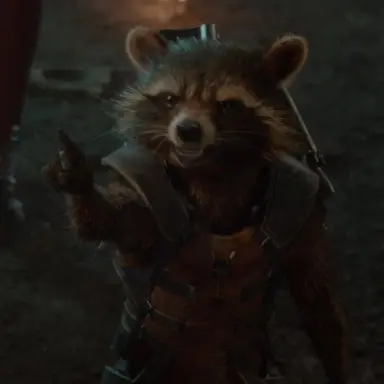 Profile image of Rocket
