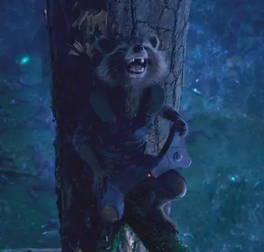 Profile image of Rocket