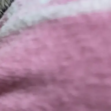 Profile image of 誠也