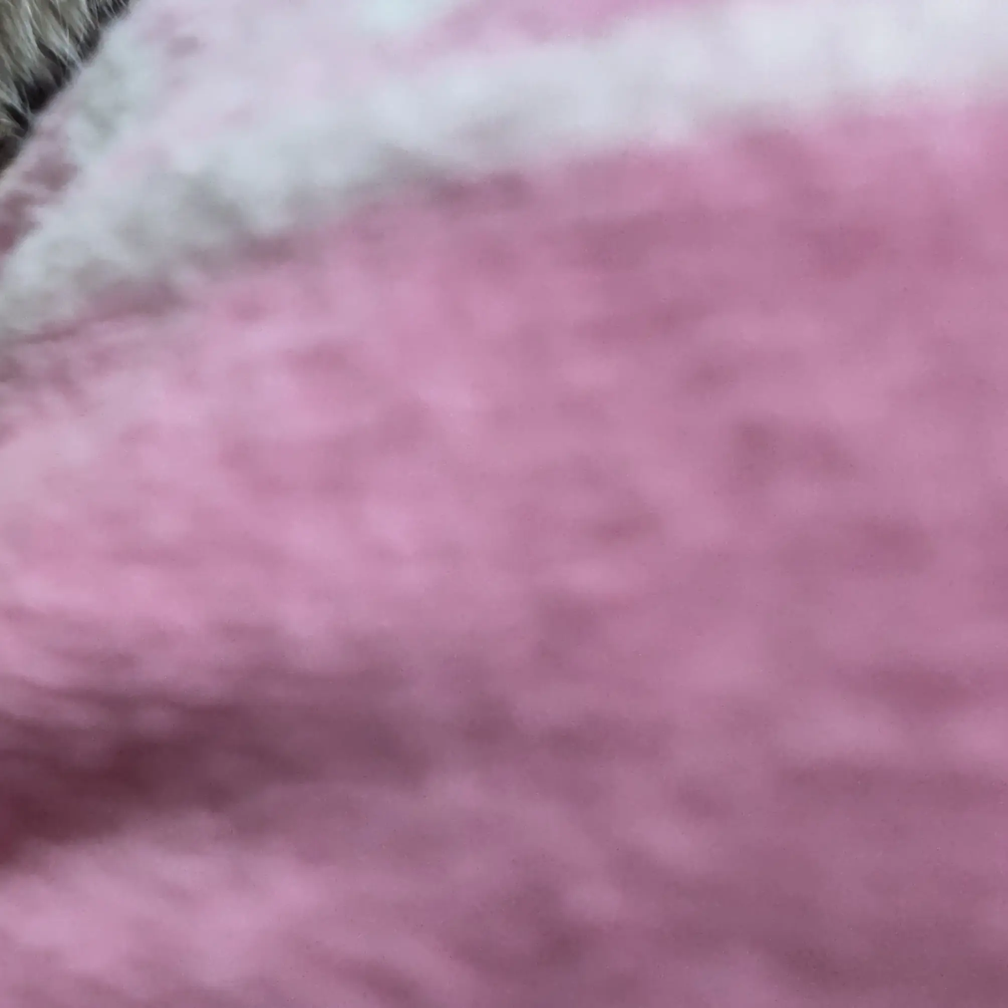 OddClean3941의 末澤誠也