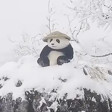 Profile image of パンダ