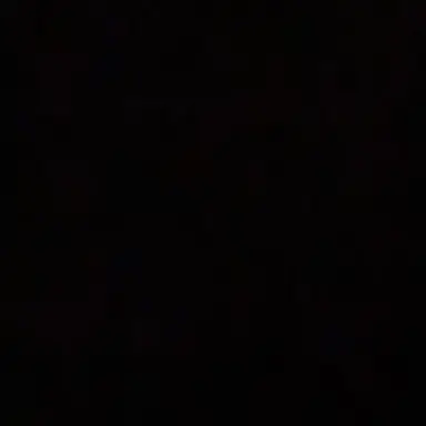 Profile image of 마마이