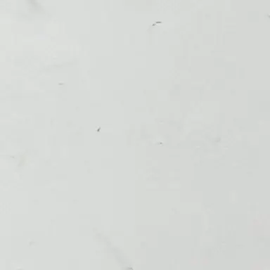 Profile image of user