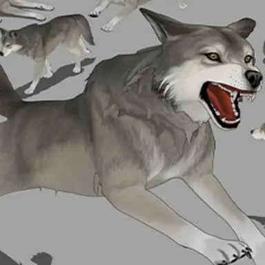 Profile image of 이늑대