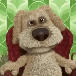 Profile image of Ben