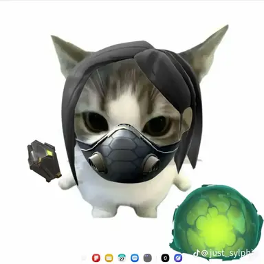 Profile image of 바이퍼 고양이
