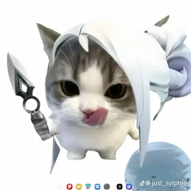 Profile image of 제트 고양이