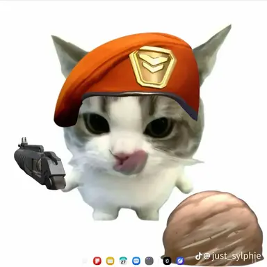 Profile image of 브림스톤 고양이
