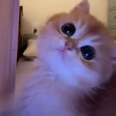 Profile image of 김규빈