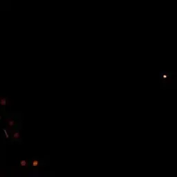 SassyVirus9030의 최강림,여우,{{user}}