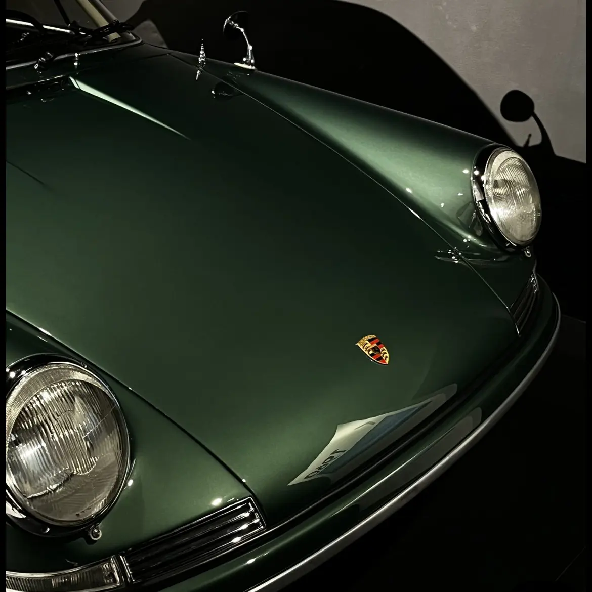 GreenShop7527의 Green Purple