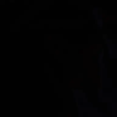 Profile image of 론 위즐리