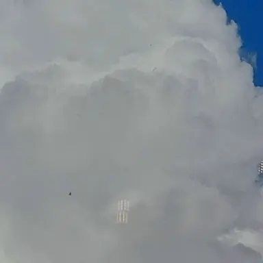 Profile image of 런드