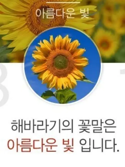 Lemon0816의 미안해요님께