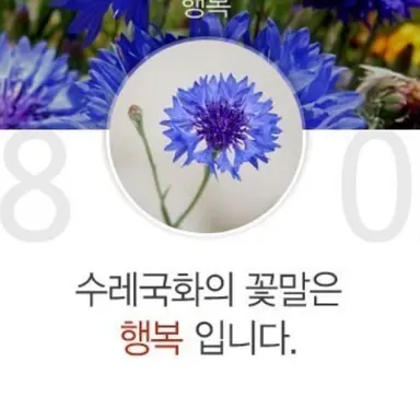 Profile image of 미안해요님 사랑해욧